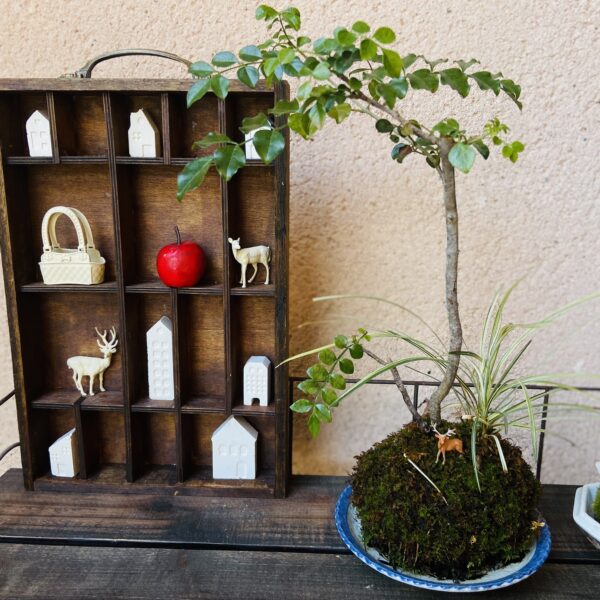 12月の中庭の小さなオブジェたち